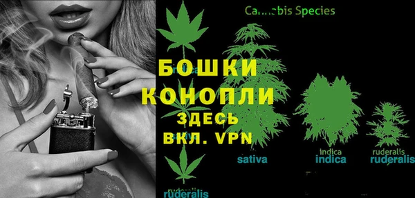 ГАЛЛЮЦИНОГЕННЫЕ ГРИБЫ Волоколамск