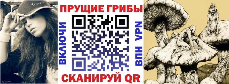 Псилоцибиновые грибы Cubensis  купить   kraken   Пошехонье 